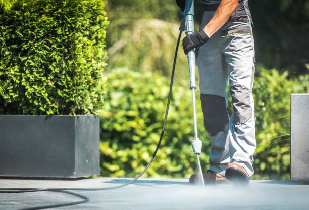 Best Patio and Deck Pressure Washing  in Willowbrook, CA