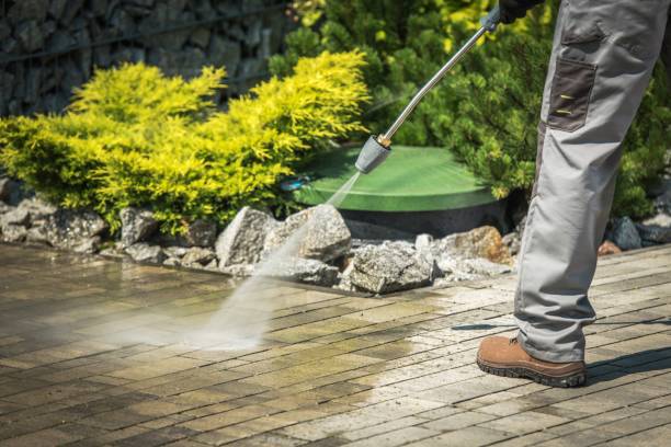 Best Fence Cleaning  in Willowbrook, CA