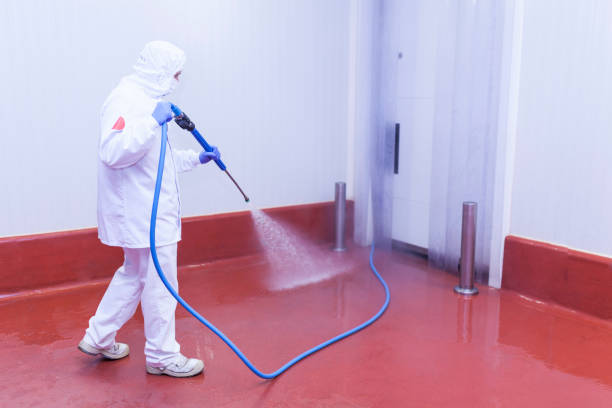 Best Restaurant Pressure Washing  in Willowbrook, CA